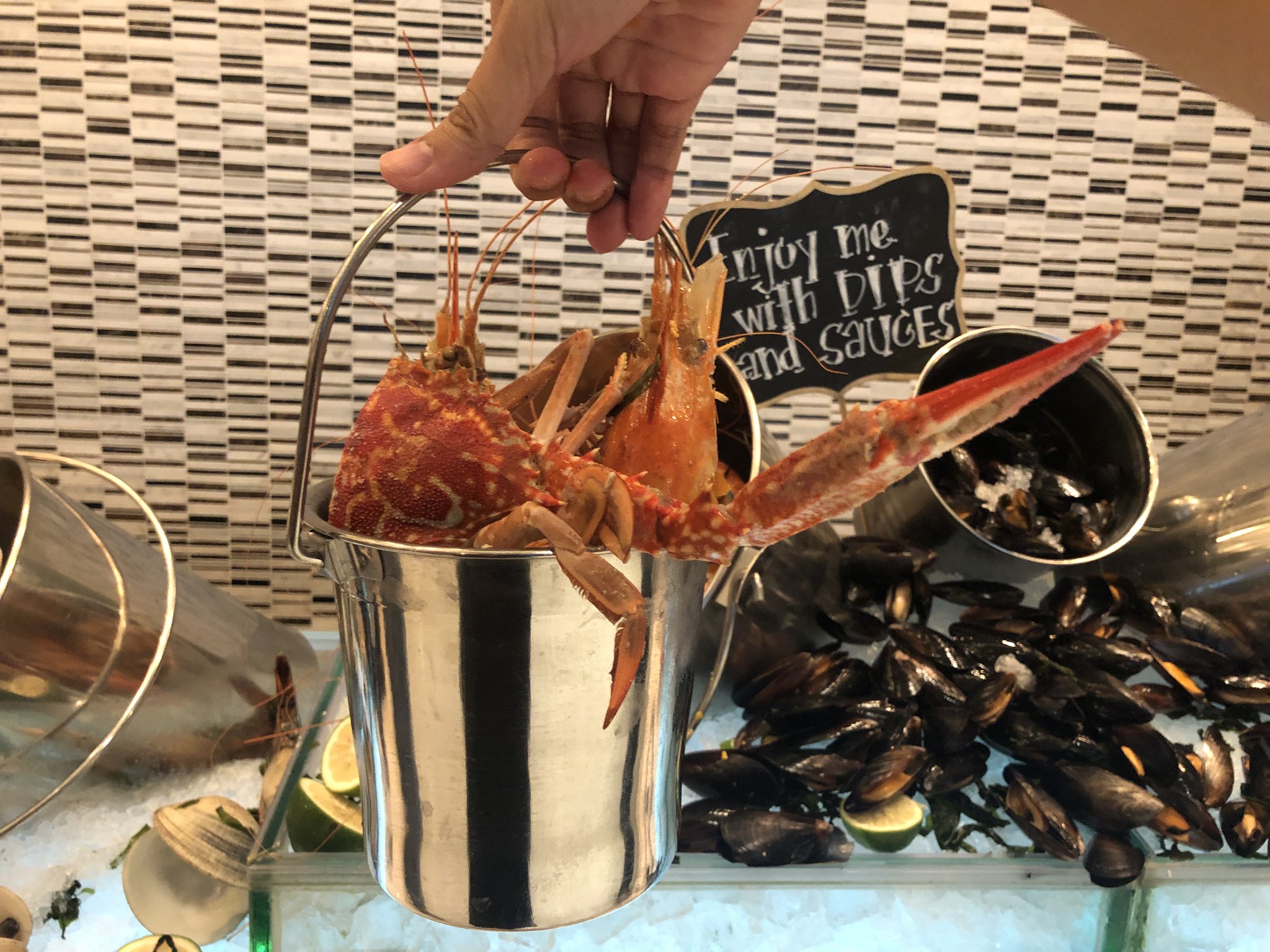 48071338817_254343d083_k